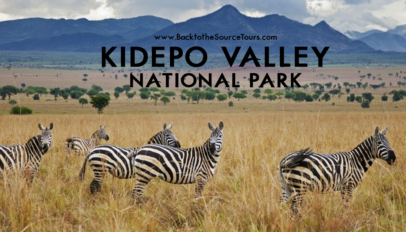 Kidepo Valley National Park banner