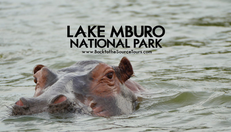 Lake Mburo National Park banner