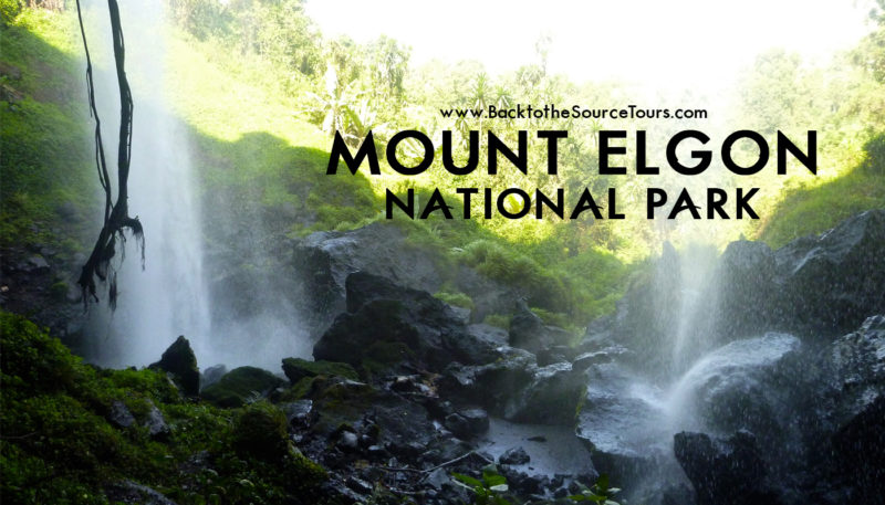 Mount Elgon National Park banner