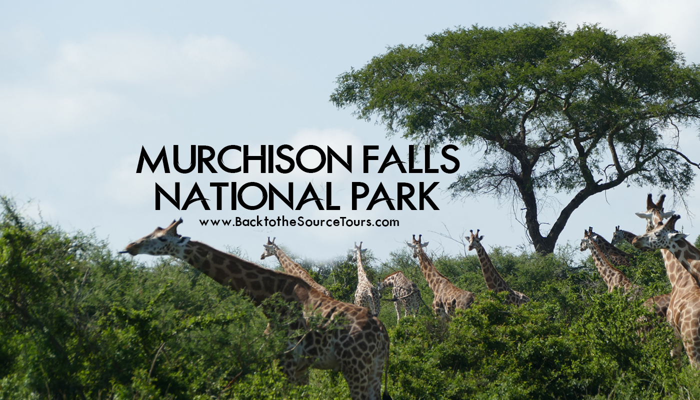 Murchison Falls NP banner