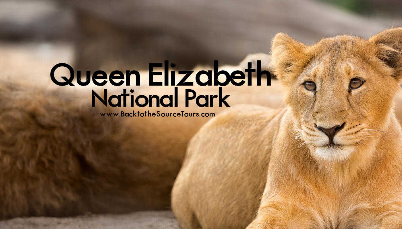 Queen Elizabeth National Park Uganda
