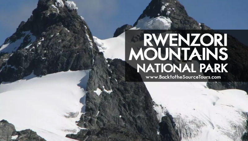 Rwenzori Mountains National Park banner