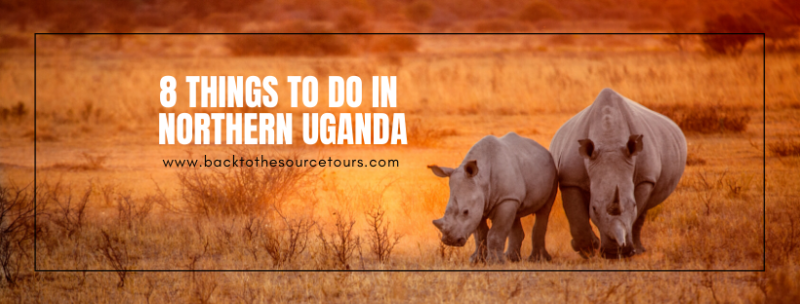 8 things you can do in Northern Uganda