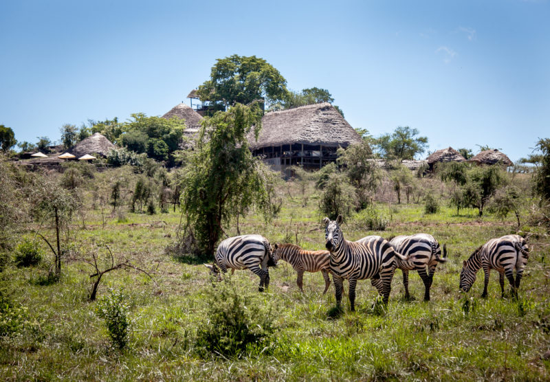 Apoka Safari Lodge in Kidepo