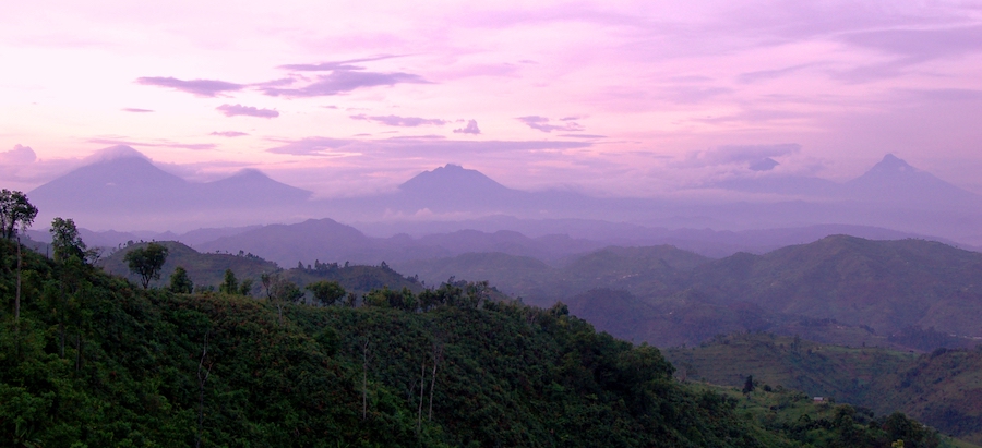 Clouds Mountain Gorilla Lodge in Bwindi Impenetrable NP, Uganda