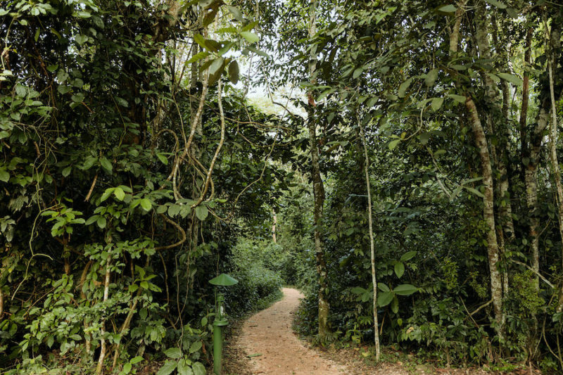 Primates Lodge in Kibale Forest NP