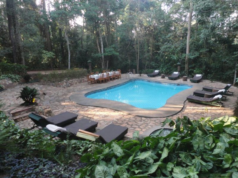 Rainforest Lodge in Mabira Forest, Uganda pool