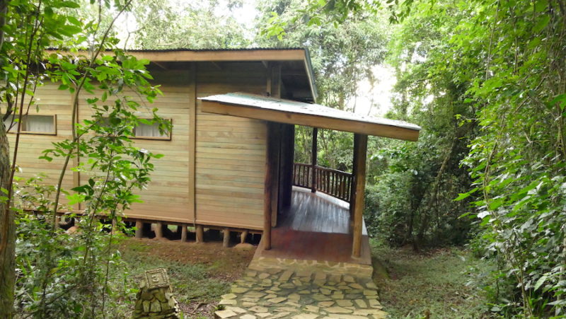 Rainforest Lodge in Mabira Forest, Uganda