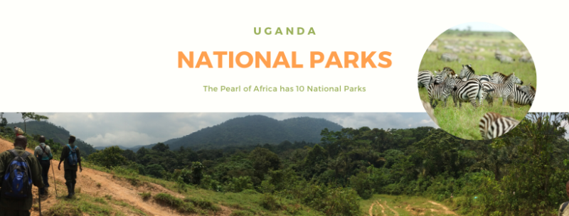 National Parks of Uganda