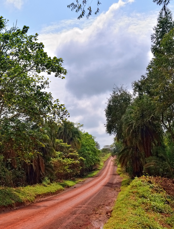 Uganda Roads