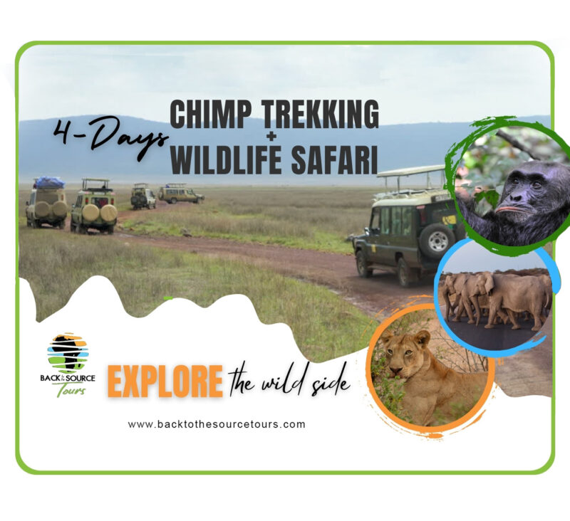 Chimp Trekking and Wildlife Safari 4 days