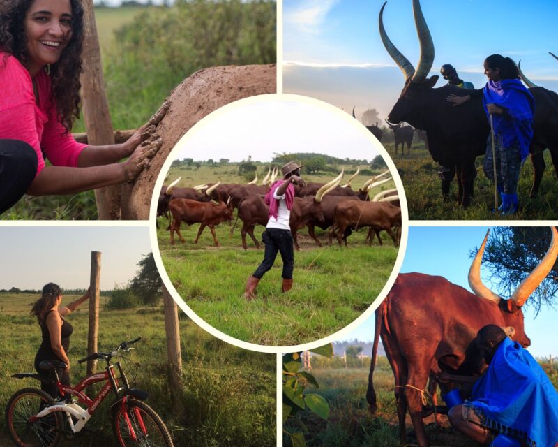 Emburara Farm Lodge Farm Activities