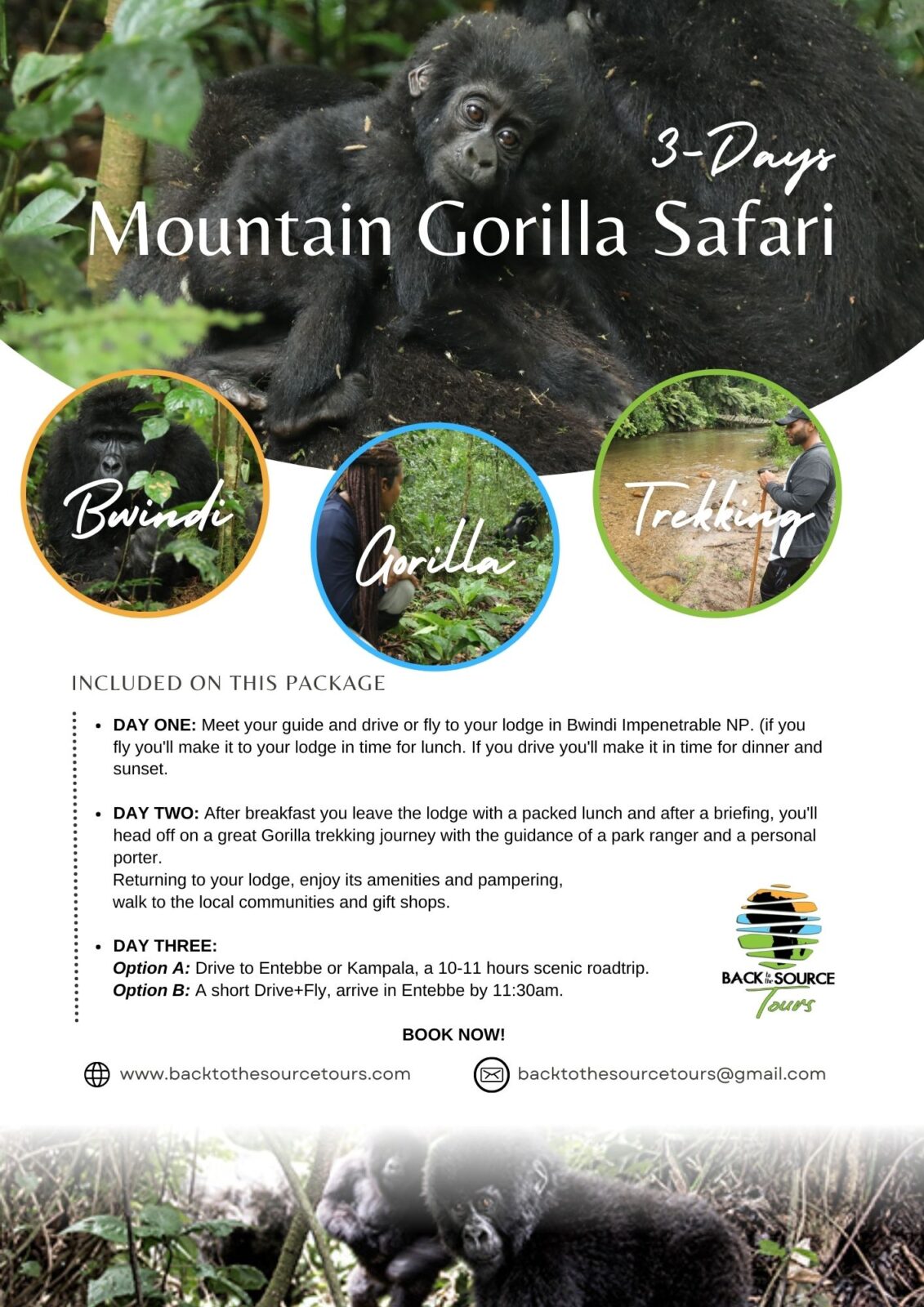 Mountain Gorilla Trekking 3 days tour - Back to the Source Tours