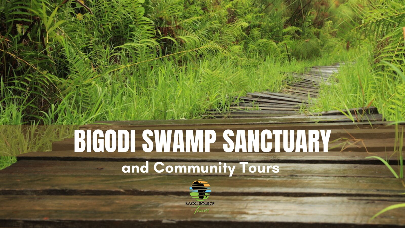 Bigodi Swamp Sanctuary banner