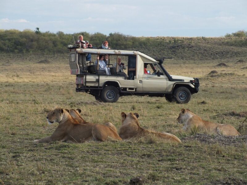 Mara Eden Maasai Mara Kenya