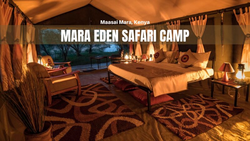 Mara Eden Maasai Mara Kenya banner