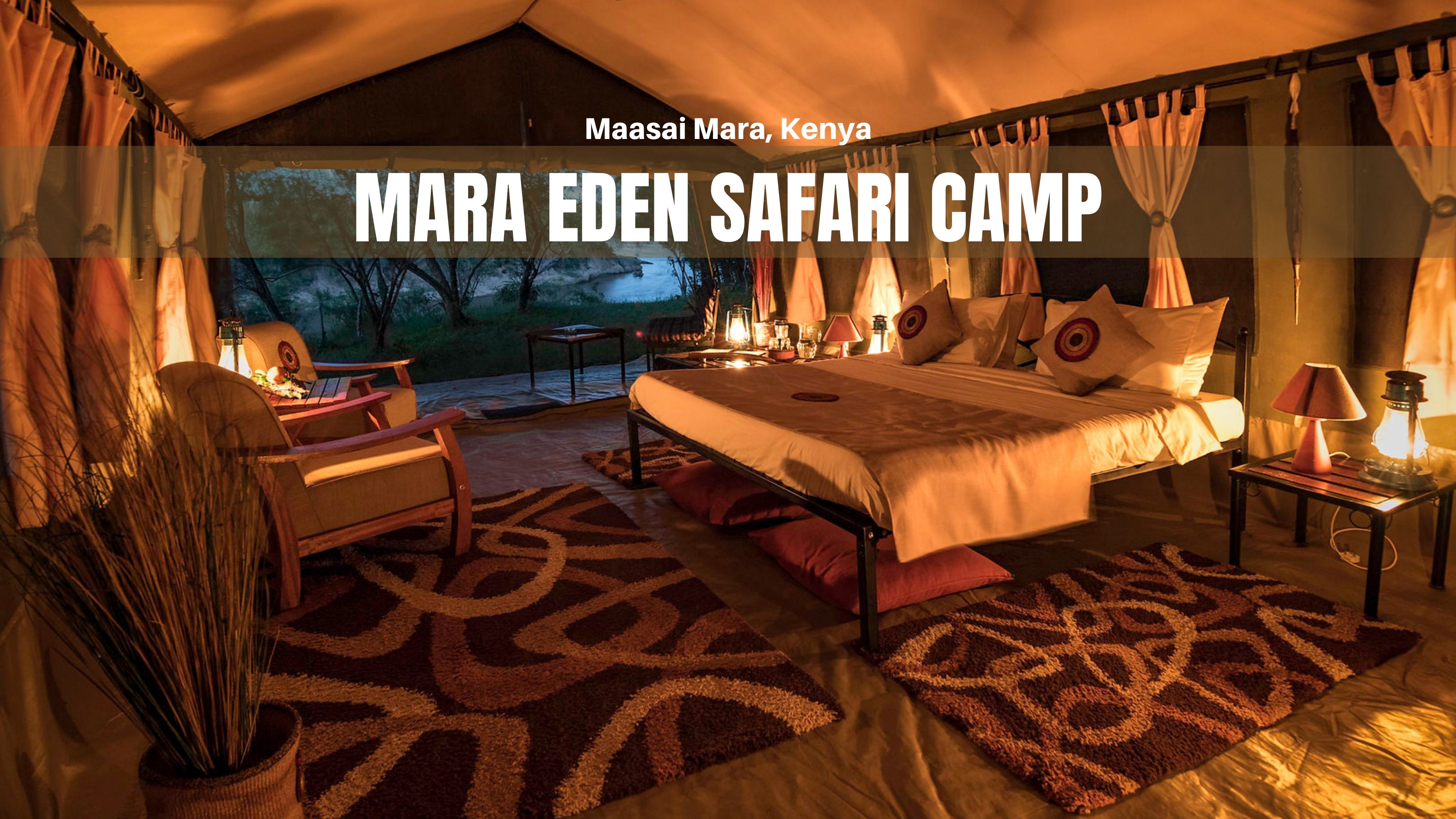 mara eden safari camp email address