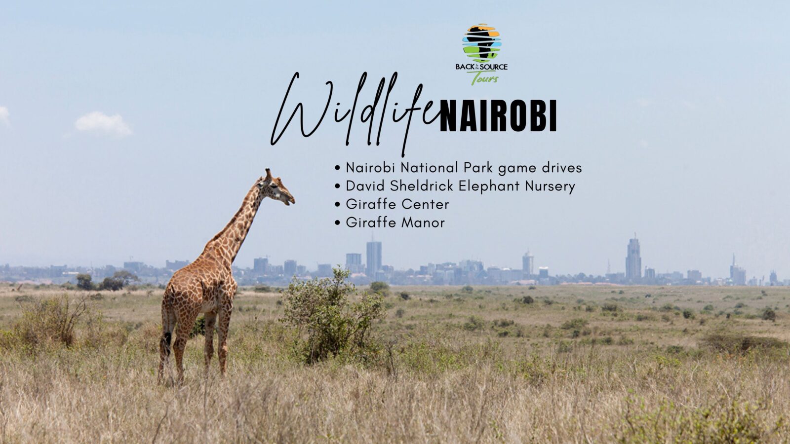 Wildlife-Nairobi-4-places