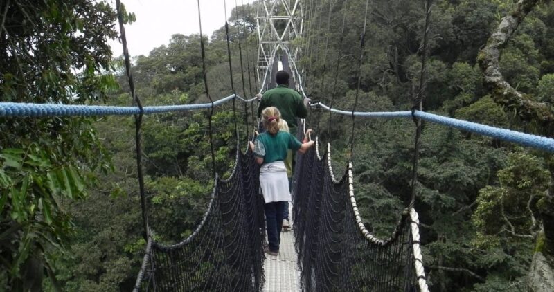 Canopy-walk-in-Nyungwe-Forest Rwanda
