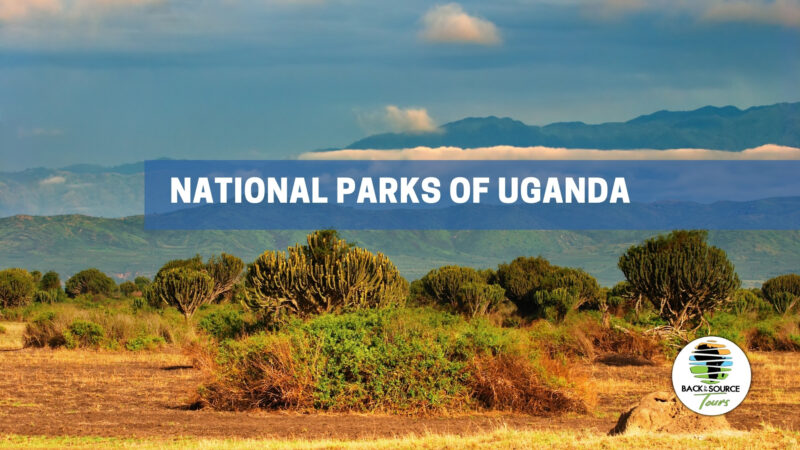 National Parks of Uganda
