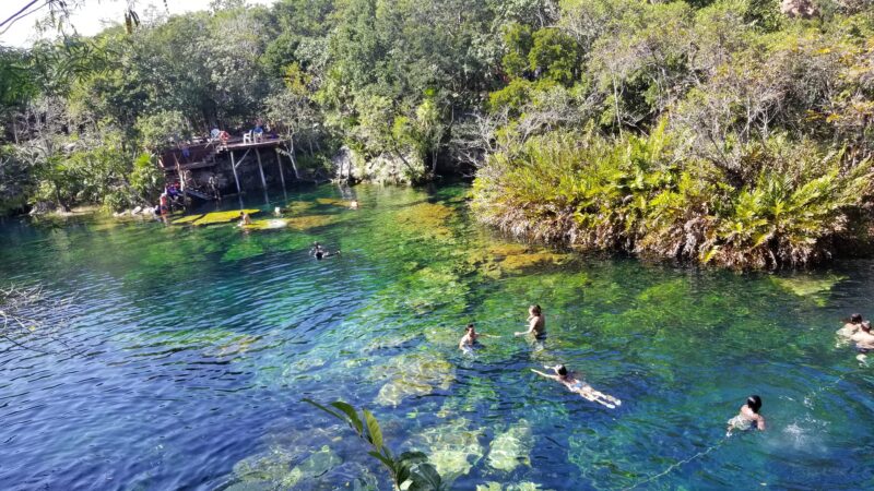 cenote-in-tulum-mexico-crystal-clear-waters