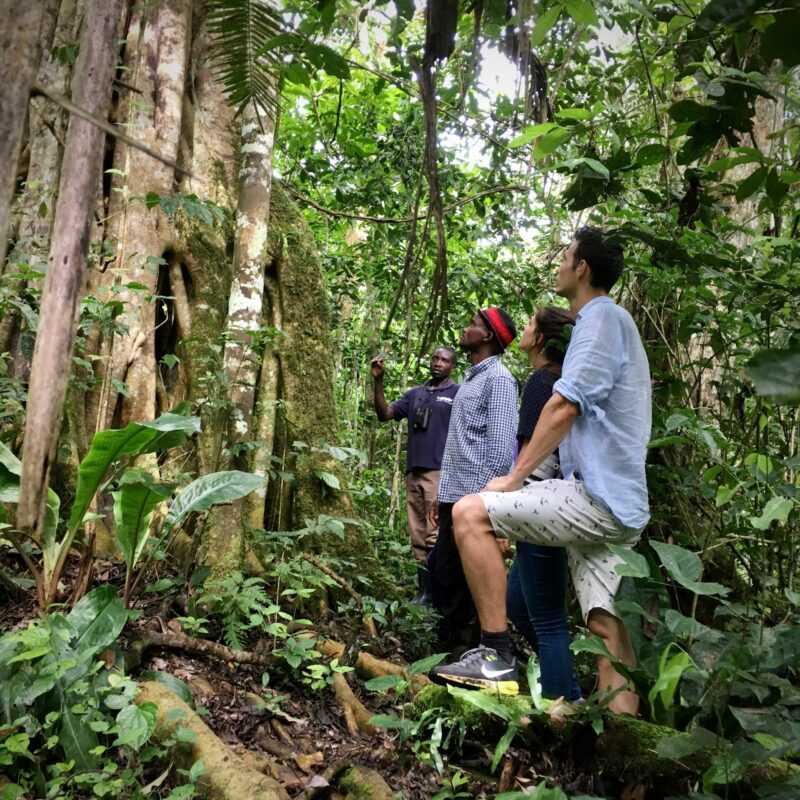 Bigodi Wetlands Sanctuary (Hikes | Walks | Sightseeing