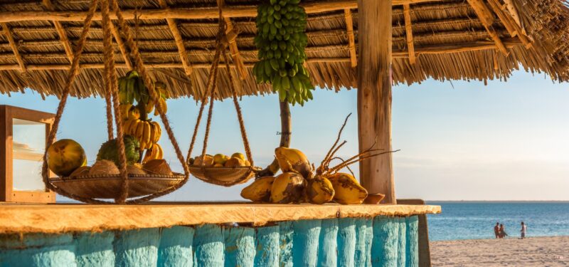 16-Days Soul of the Savannah, Heart of the Coast | Tanzania