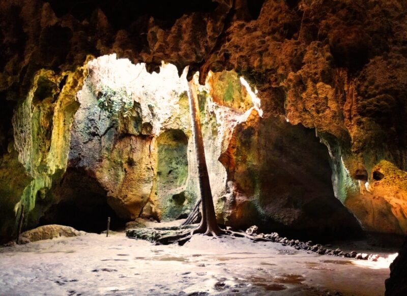 Shimoni Slave Caves Kenya: A Historical Visit on the East African Coast