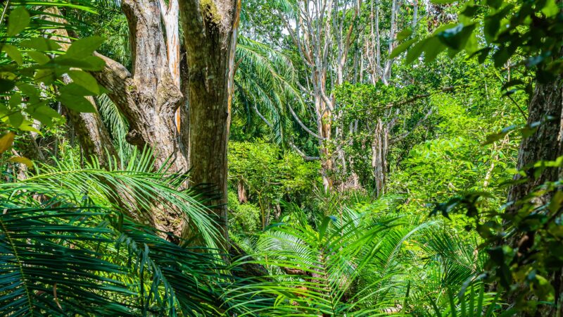 20 Activities You Can Do in Zanzibar