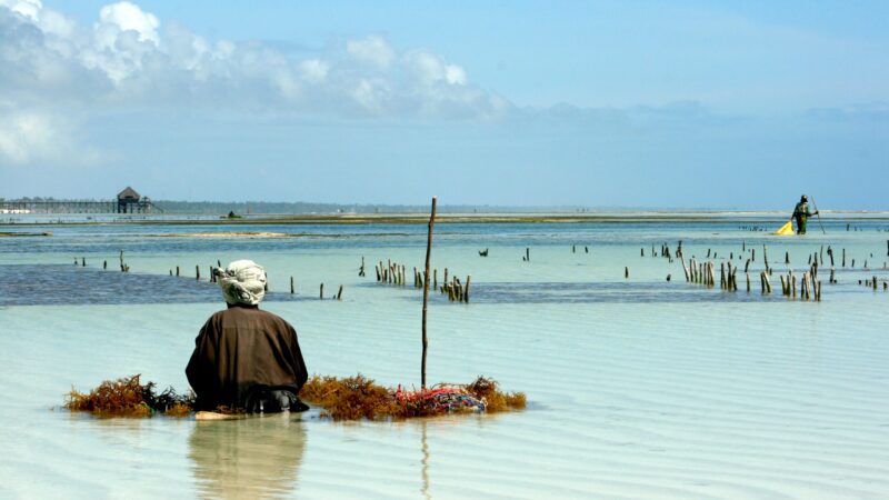 20 Activities You Can Do in Zanzibar