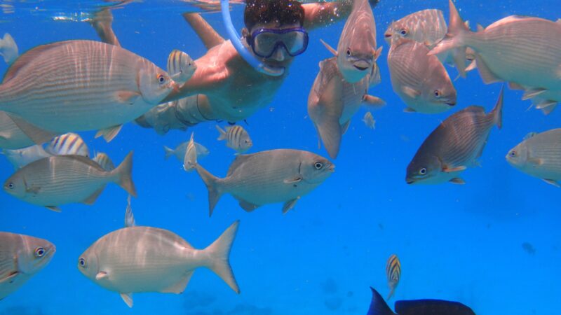 20 Activities You Can Do in Zanzibar