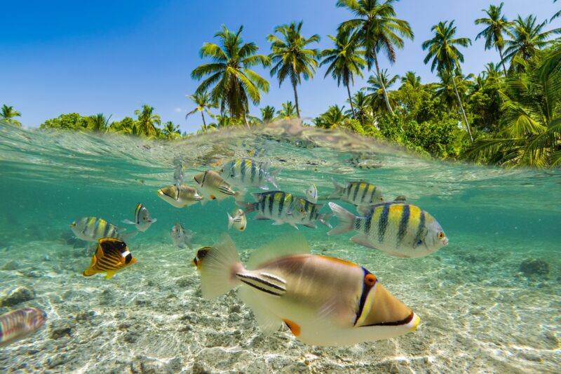 20 Activities You Can Do in Zanzibar