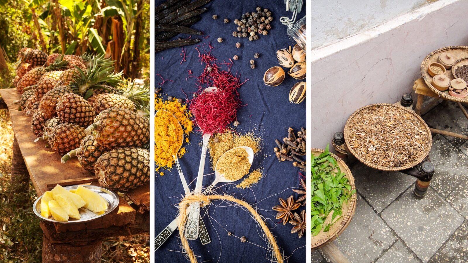 20 Activities You Can Do in Zanzibar 20 Activities You Can Do in Zanzibar