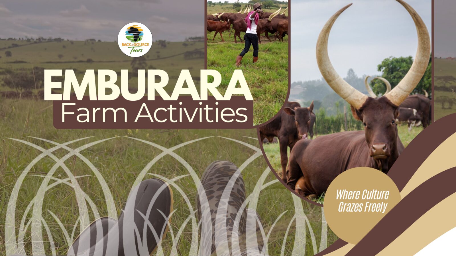 Emburara Farm —A Window Into Uganda’s Soul