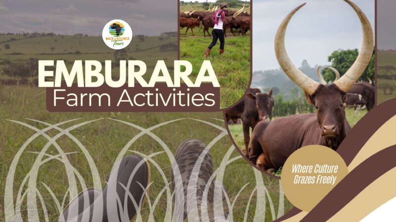 Emburara Farm —A Window Into Uganda’s Soul