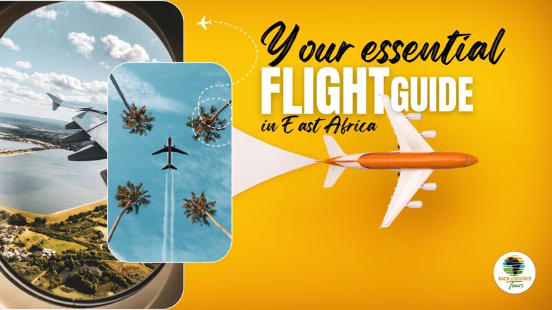 Essential Guide to Your Flights in East Africa