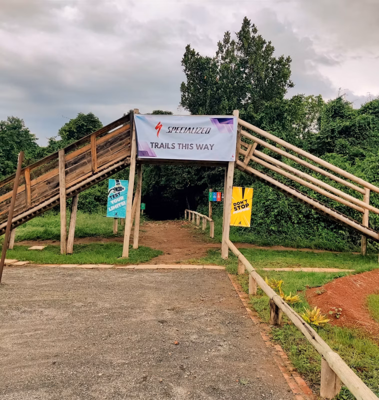 Trekking the Shoebill and Unlocking Entebbe’s Best-Kept Secret