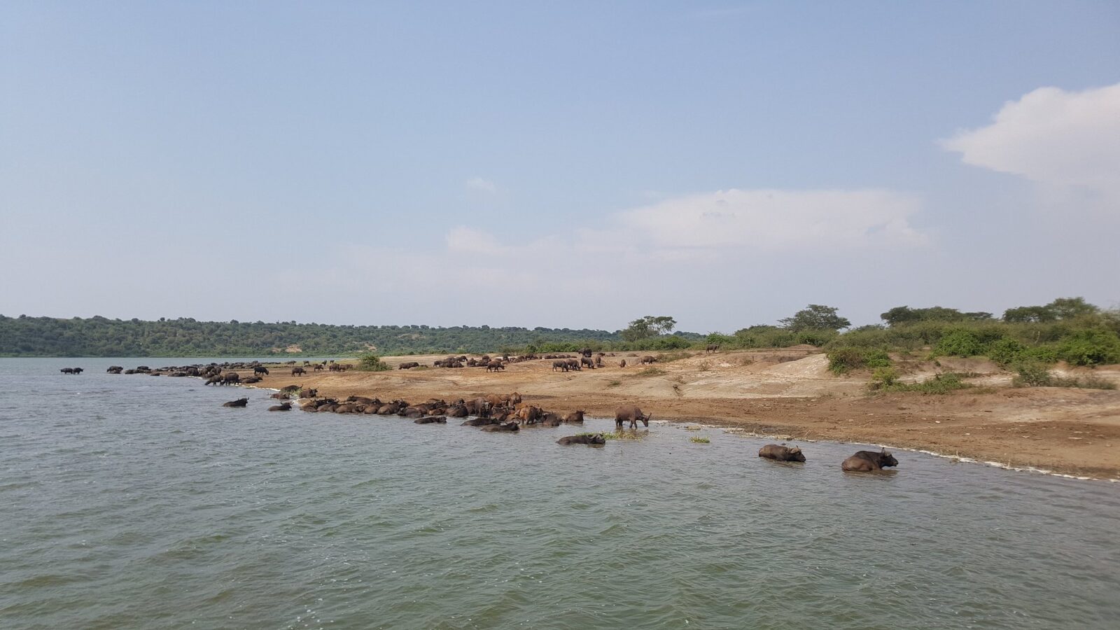 Kazinga Channel: Uganda’s Epic Waterway of Wildlife Encounters Kazinga Channel: Uganda’s Epic Waterway of Wildlife Encounters