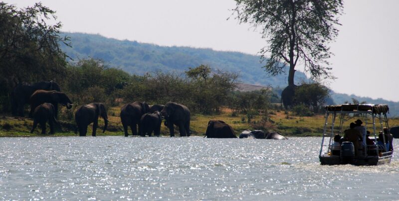 Kazinga Channel: Uganda’s Epic Waterway of Wildlife Encounters