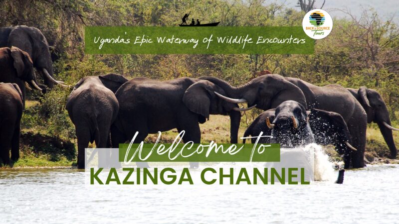 Kazinga Channel: Uganda’s Epic Waterway of Wildlife Encounters