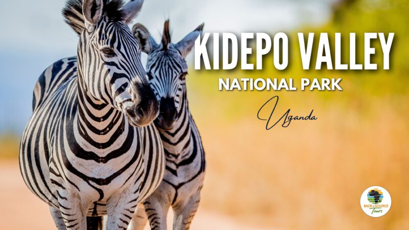 Kidepo Valley National Park