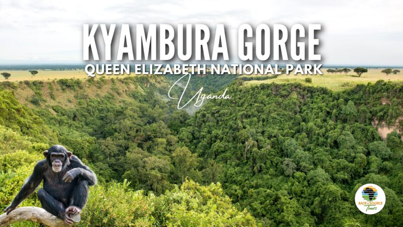 Views of Kyambura Gorge