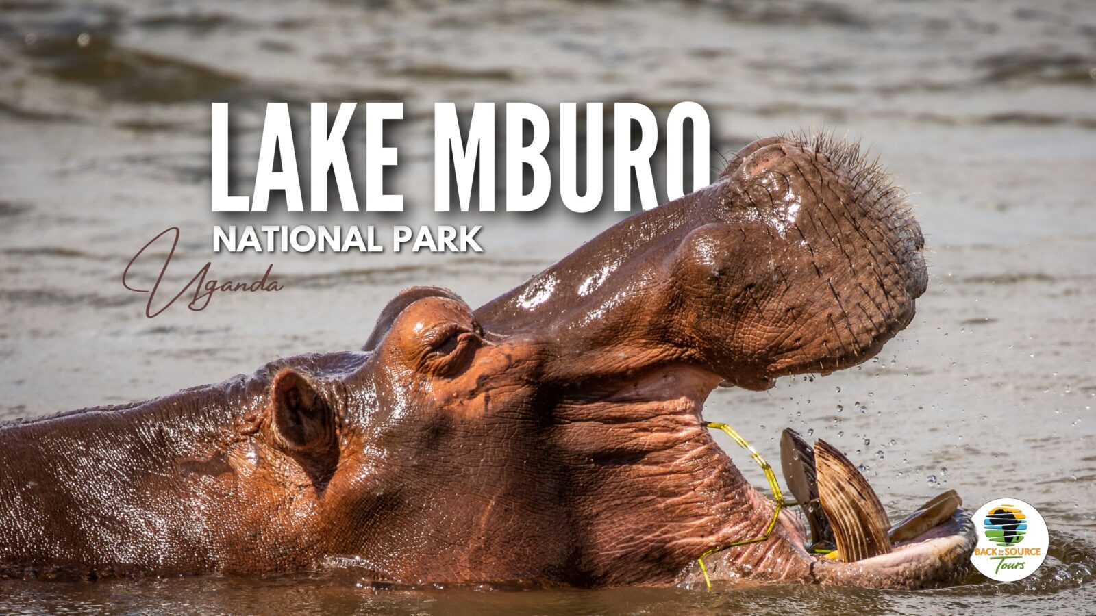 Lake Mburo National Park