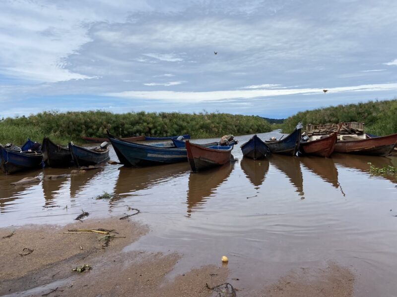 Trekking the Shoebill and Unlocking Entebbe’s Best-Kept Secret
