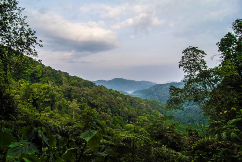 Mgahinga Gorilla National Park