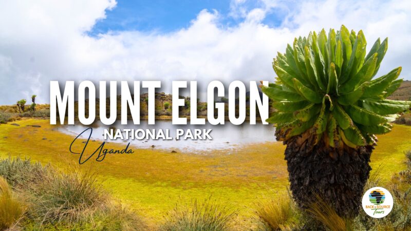 Mount Elgon National Park