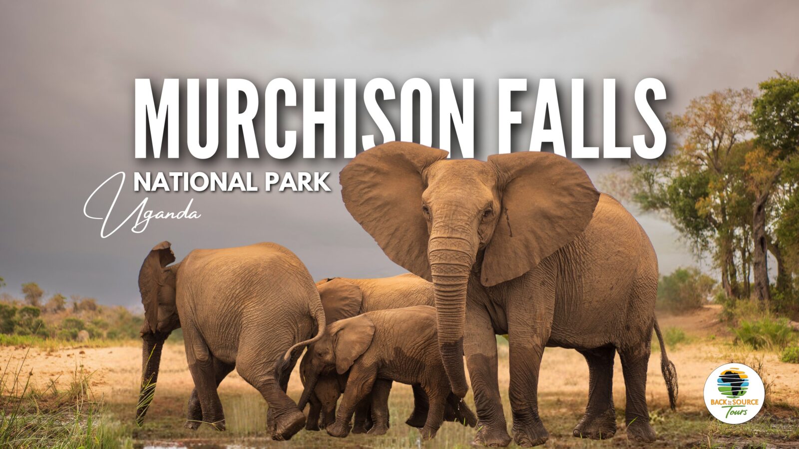 Murchison Falls National Park