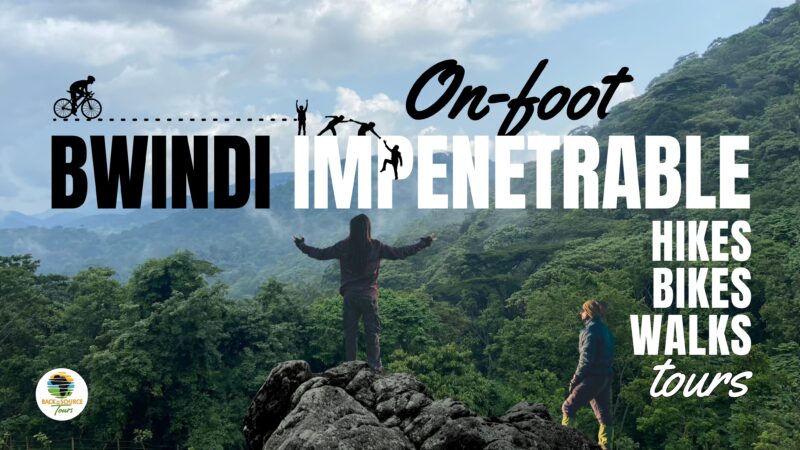 Discover On-Foot Tours in Bwindi Impenetrable