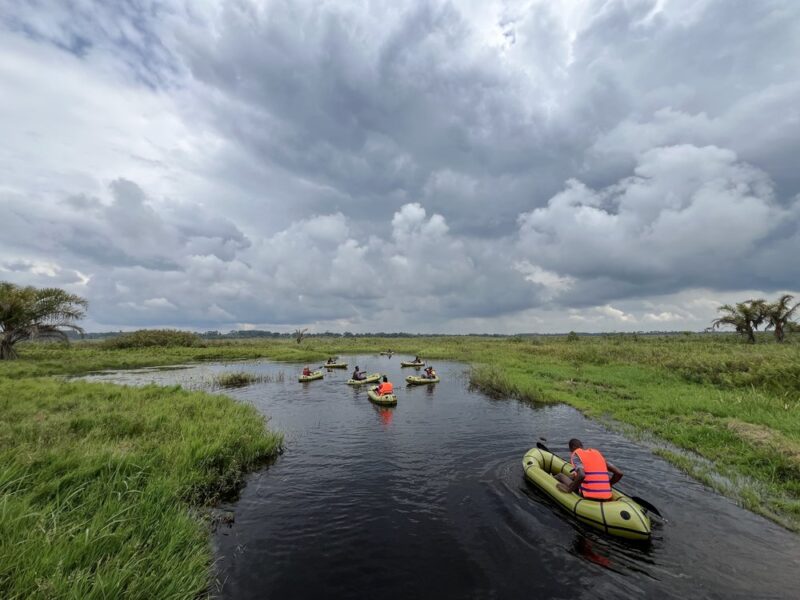 Trekking the Shoebill and Unlocking Entebbe’s Best-Kept Secret