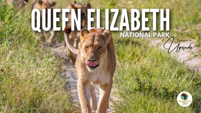 Queen Elizabeth National Park